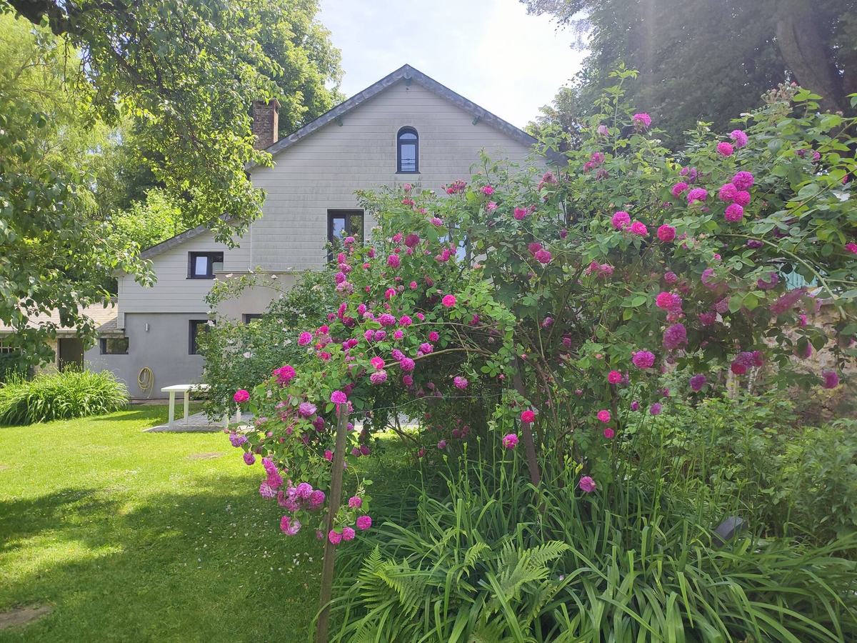 La maison vue du jardin, un grand rosier grimpant en fleurs au premier plan.