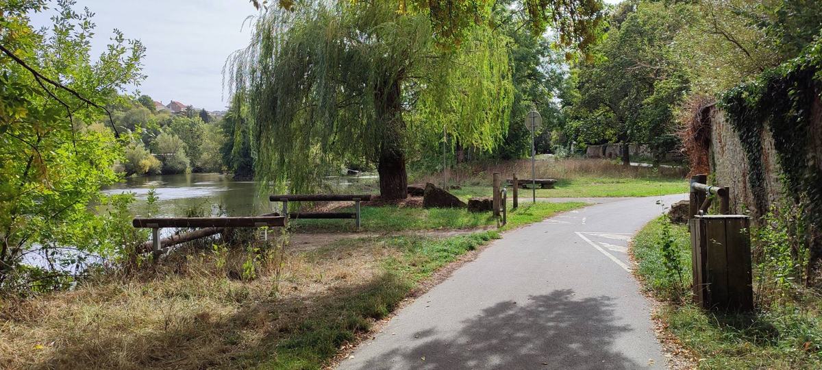La Voie Verte au bord de la Meuse : la piste goudronnée, un saule pleureur, des bancs et un mur de pierre.